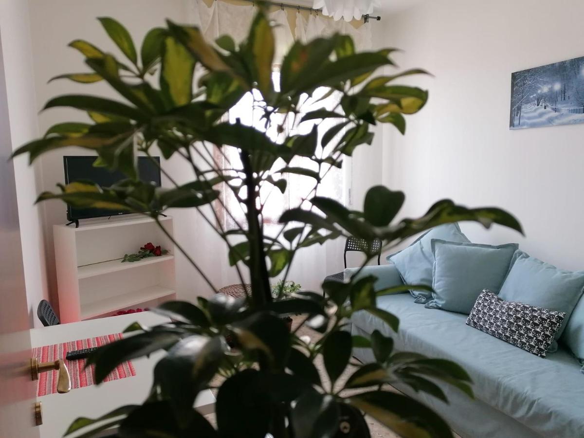 Giuseppe House Lejlighed Pisa Eksteriør billede