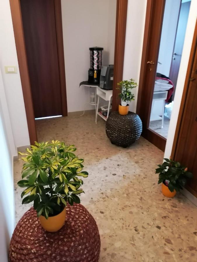 Giuseppe House Lejlighed Pisa Eksteriør billede